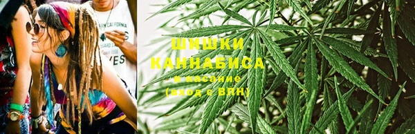 PSILOCYBIN Арсеньев