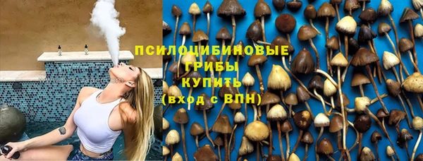 PSILOCYBIN Арсеньев