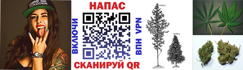 МАРИХУАНА конопля Арзамас
